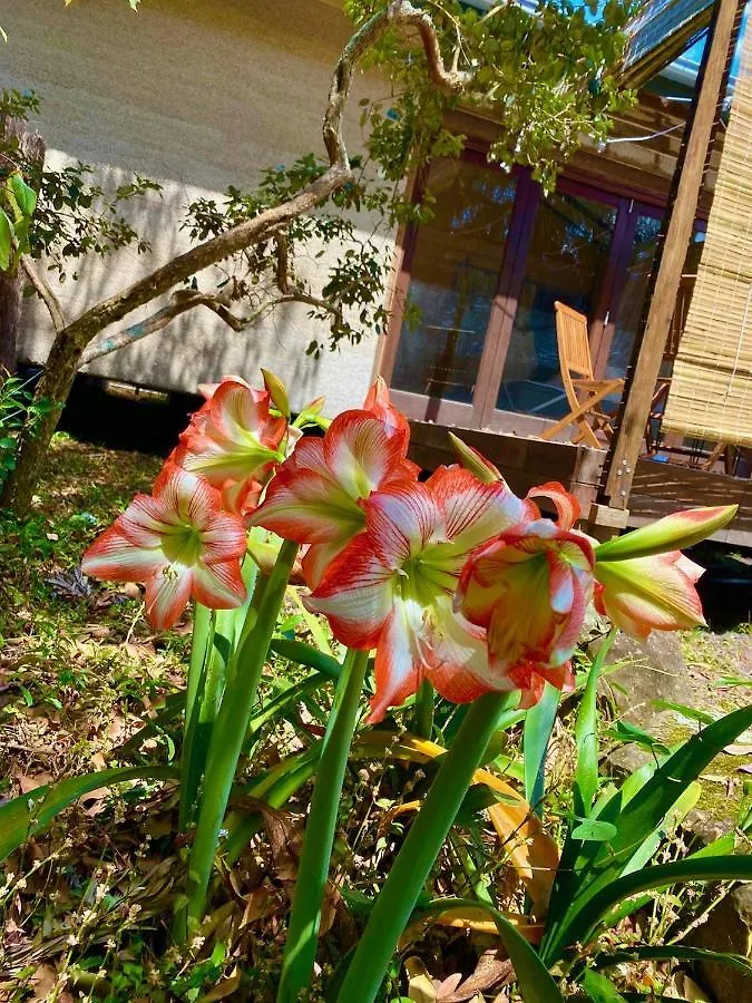 Graces Of Byron Bed & Breakfast Byron Bay